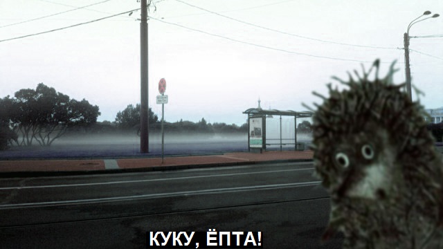 Знакомая выложила фотку...