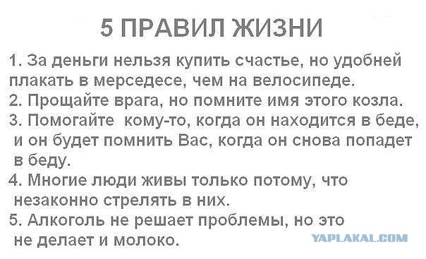 Подборка картинок