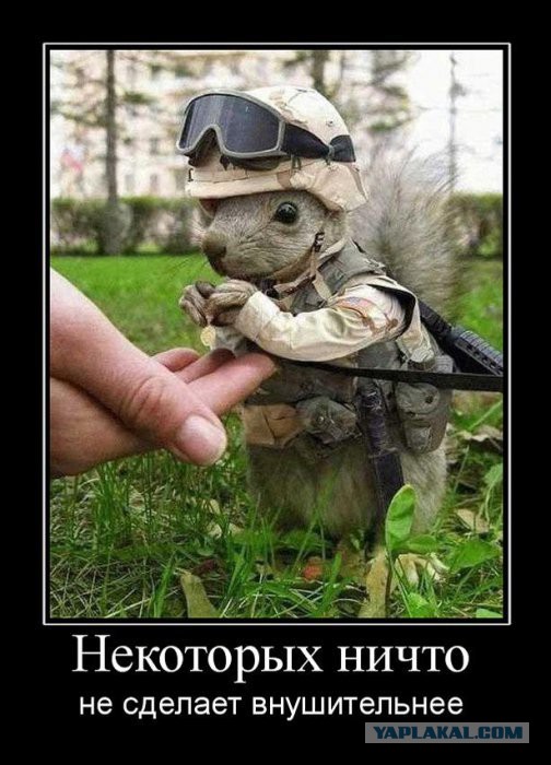 Картинки