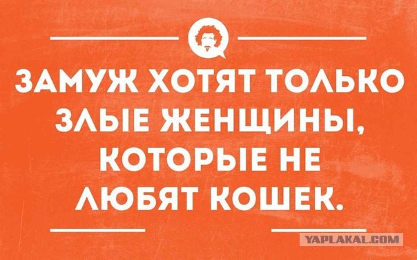 Гитлер в юбке