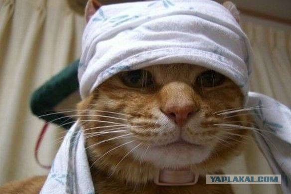 Пятница немного настроения
