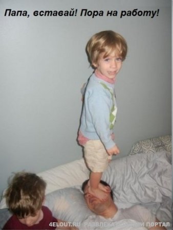 Картинки и прочее