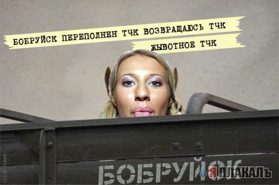Фотожаба: Ксюша Собчак