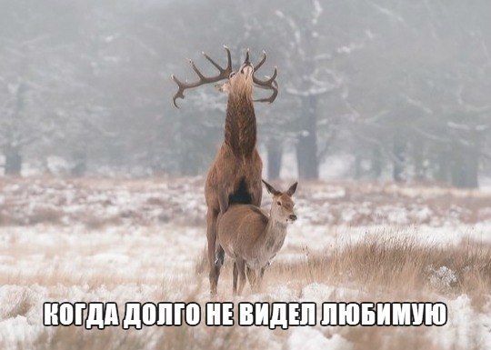 Подборка прикольных картинок
