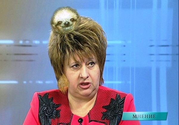 Прикольные картинки