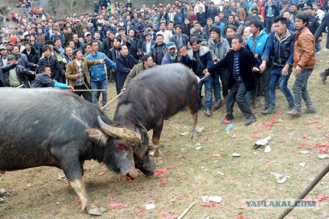 Подборка картинок 20.02.16