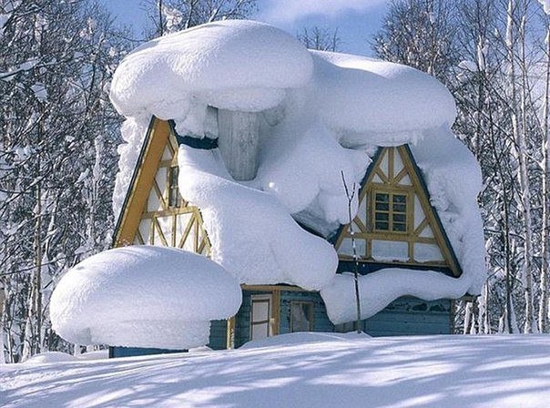 Моменты, запечатлённые на фото и просто позитив