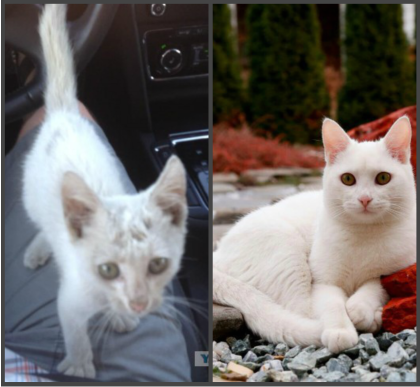 Те, которым мы помогли.