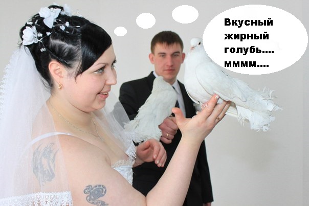 Ужасы и приколы из соцсетей 18+