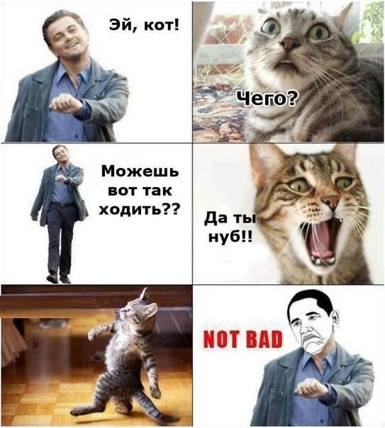 Весёлые картинки