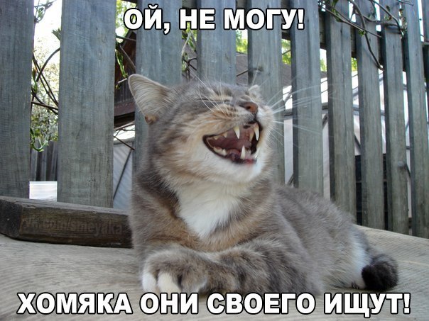 Божьи твари