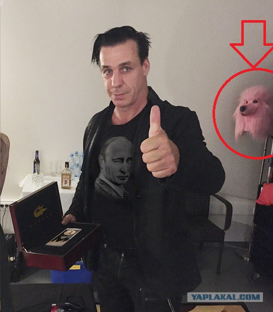 Rammstein похвастался золотым iPhone 6s с портретом Путина