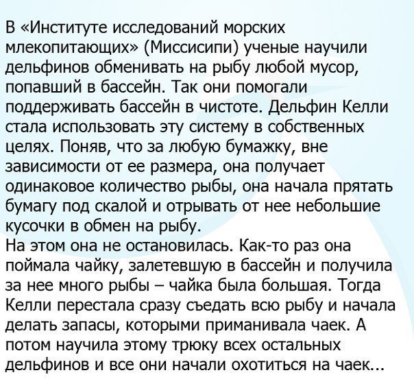 Скриншоты из социальных сетей