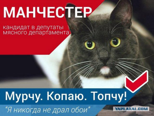 Юмор не для всех