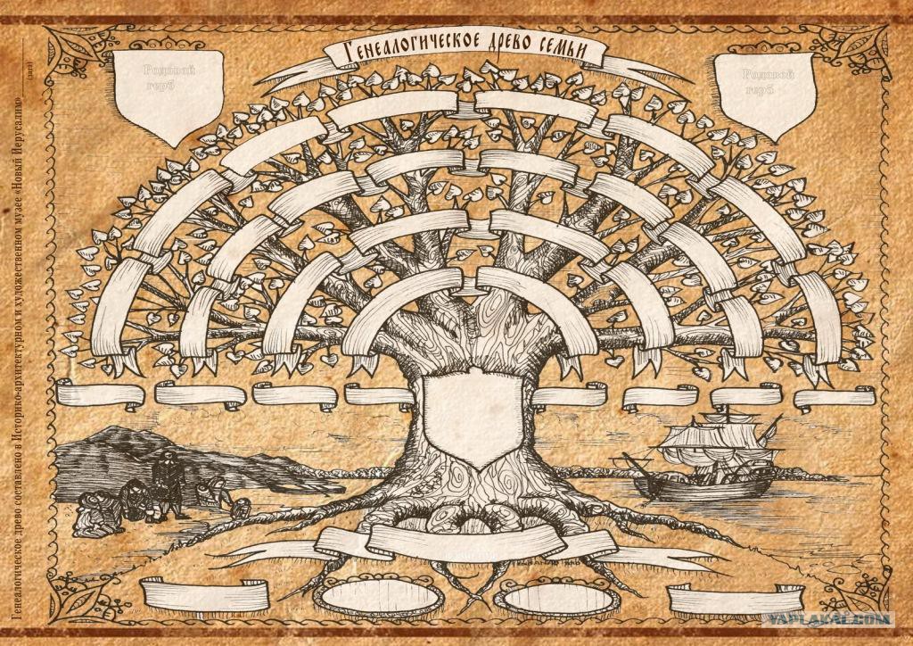 Птица рода. Родовое древо. Семь поколений рода родовое древо. Род семь. Крылья рода 7 поколений.