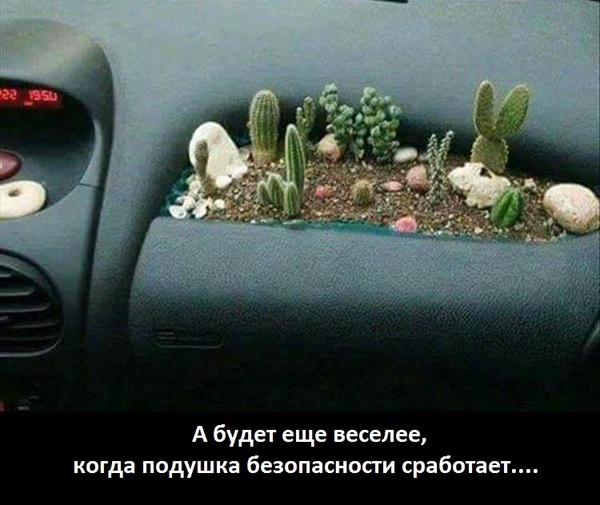Подборка интересных и веселых картинок