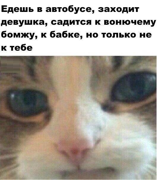 Приколы в стиле "регресс"