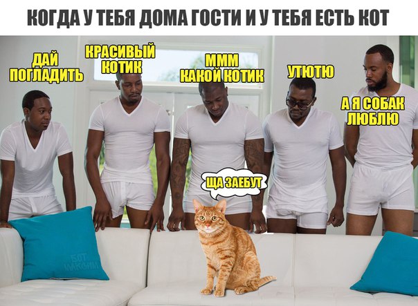 Очередная подборка школьной наркомании из соц.сетей