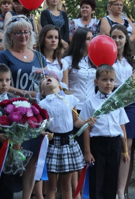 Подборка разного из сети