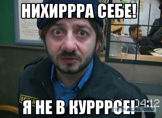 Еноты разгромили продуктовый магазин в Черновицкой области