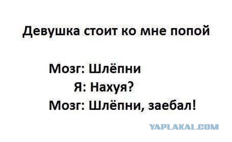 Просто юмор