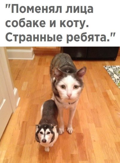 Всякие странные картинки