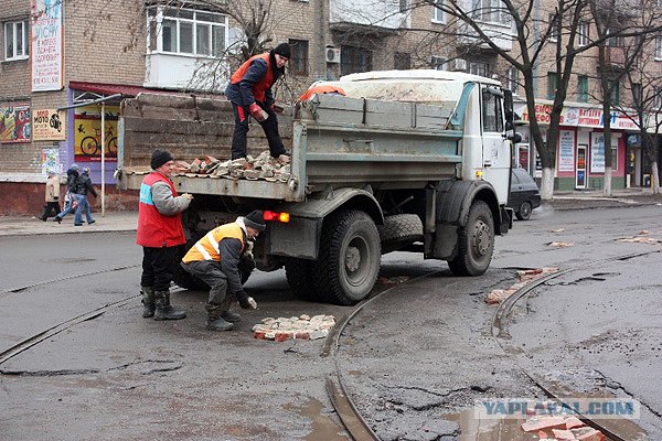 Дождевые черви уничтожают асфальт в Украине