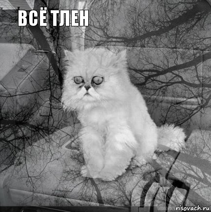 Только не рассказывай мужу!