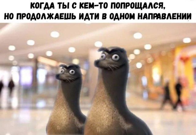Еще немного картинок разных из интернета
