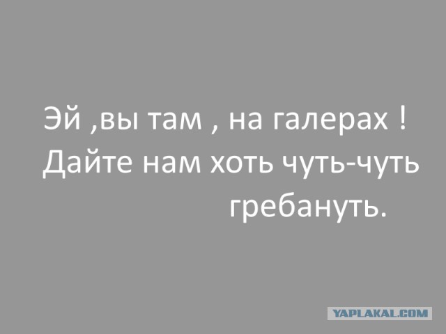 Новая Конституция