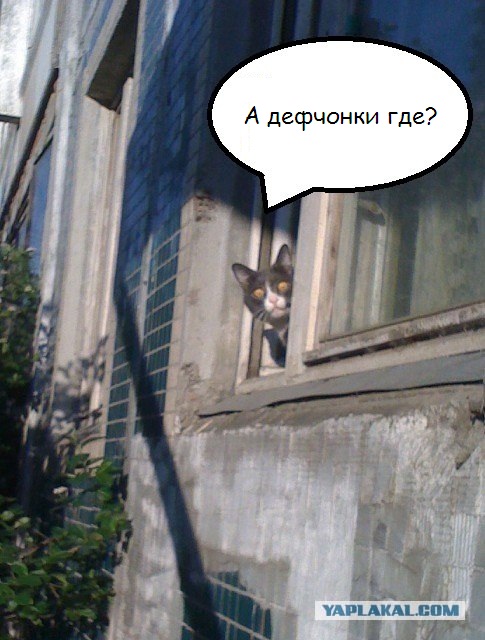 Шок, это по нашему!