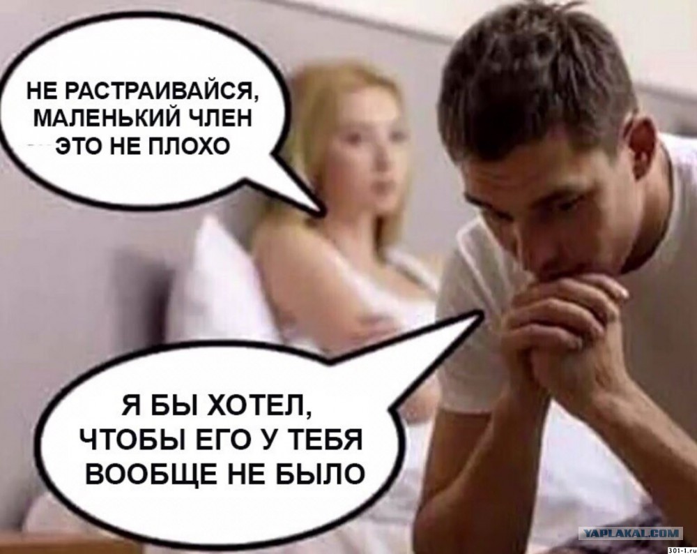 маленький писюн borisova__n__ возмущена, что нет вопроса про маленький член #локсток #азарт  #интеллект #юмор #labelsmart #winline