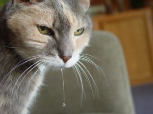 Шарлиз Терон — 44: за что мы ее любим