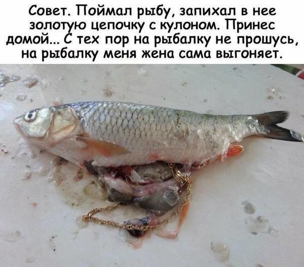 Сборник из разнык картинок