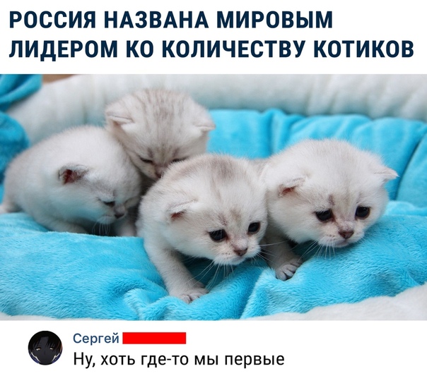 Немного картинок с надписями и без - 27