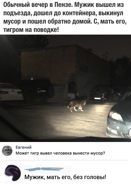 Немного картинок для настроения 16.11.19