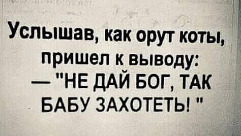 Бредзона 21.04.2020