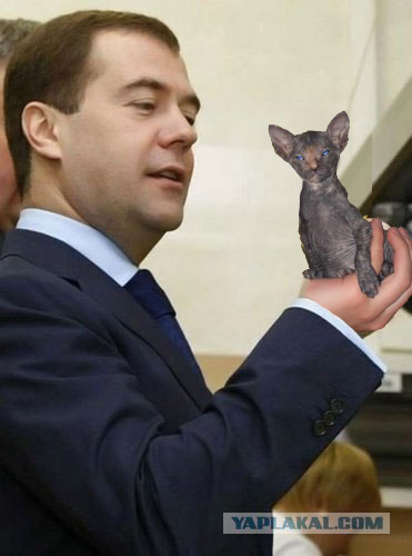 Президент тоже любит чипсы