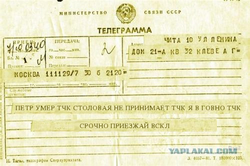 Фотожаба: Поросенок Пётр