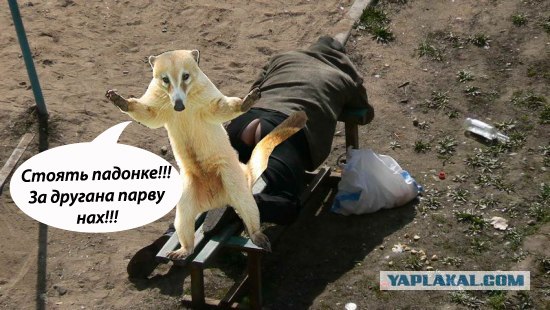 Проснётся, будет много думать...
