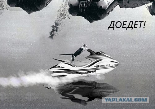 Фотожаба: Полет Барсика