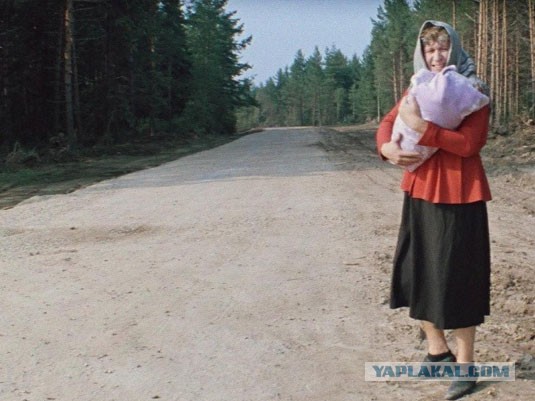 В Общественной палате призвали сурово наказать солгавшую Путину журналистку