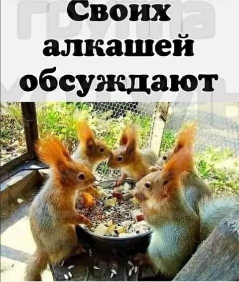 Бредзона 02.01.21
