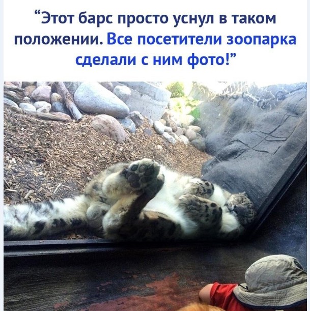 Картинки и мемы для настроения