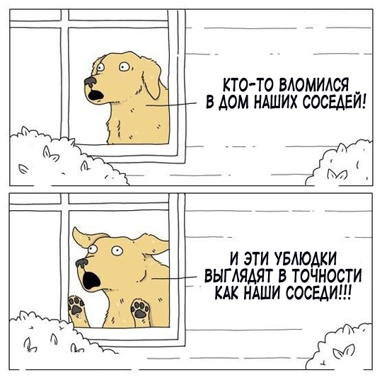 Картинки и мемы для настроения 019