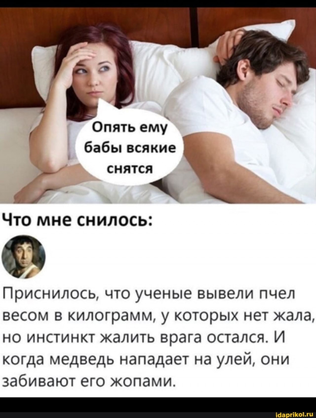 Насохранял
