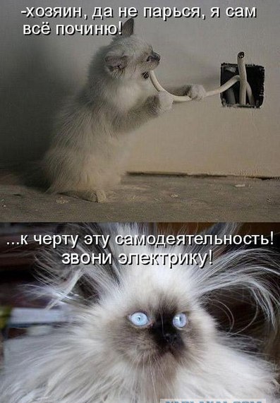 Кот зачищает провода