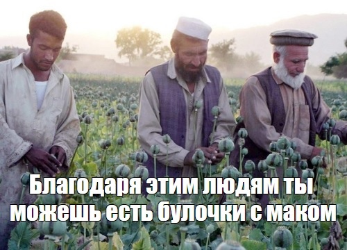 Картинки и мемы для настроения 18.08.2021