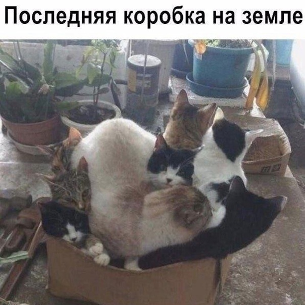 Так себе картинки 27.08.21