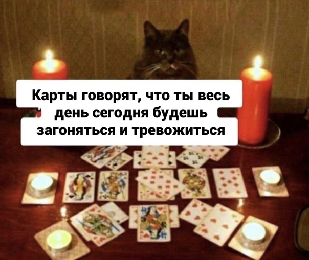 Картинки и мемы для настроения 11.11.2021